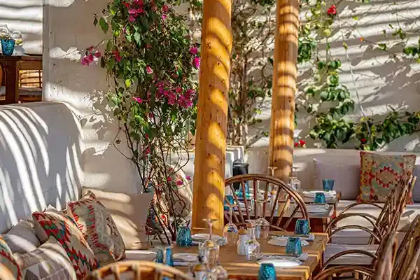 Profitez d'un moment de détente sur la terrasse ombragée du restaurant Le Solstice à Cassis lors de votre passage.
